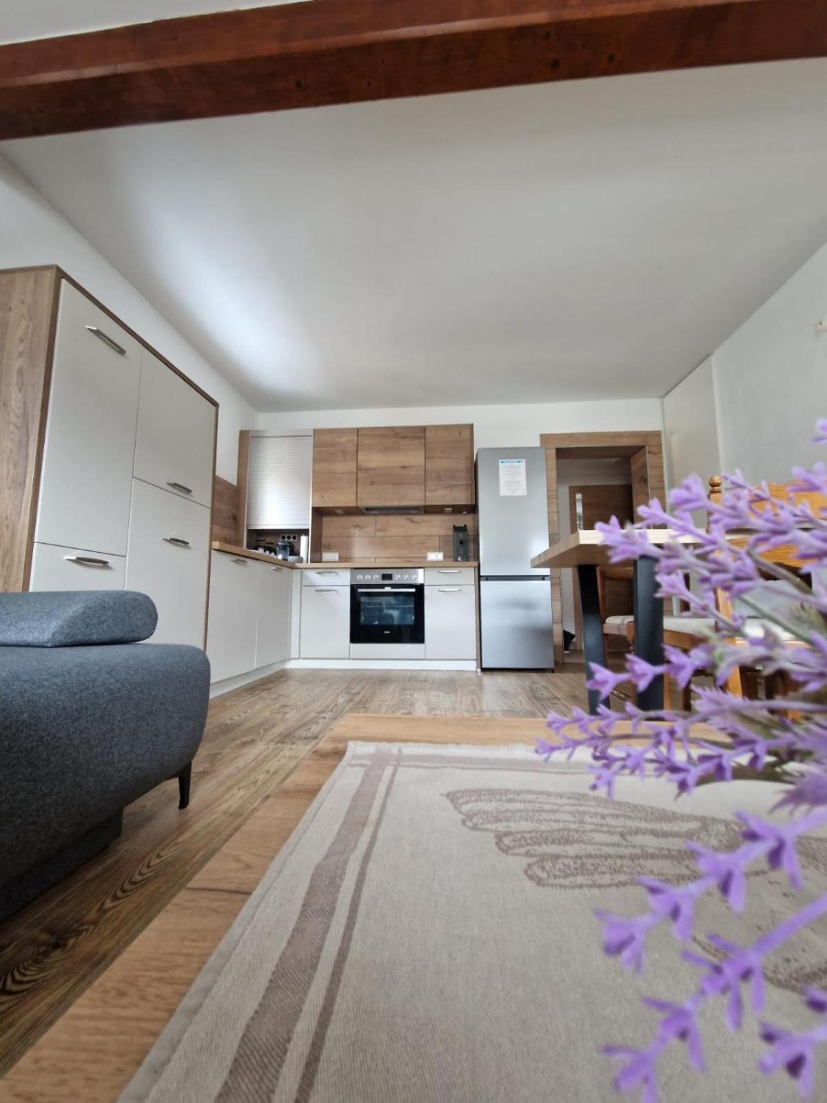 Haus-Ennstal Apartment Oblarn Exterior photo